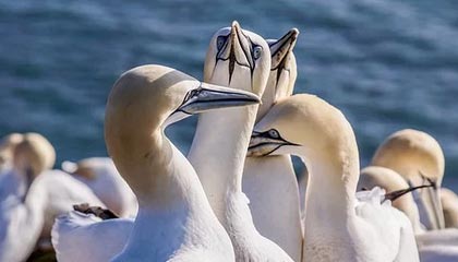 开云官网-【比赛总结】胜负背后隐藏的战术智慧，比赛有胜负的下一句