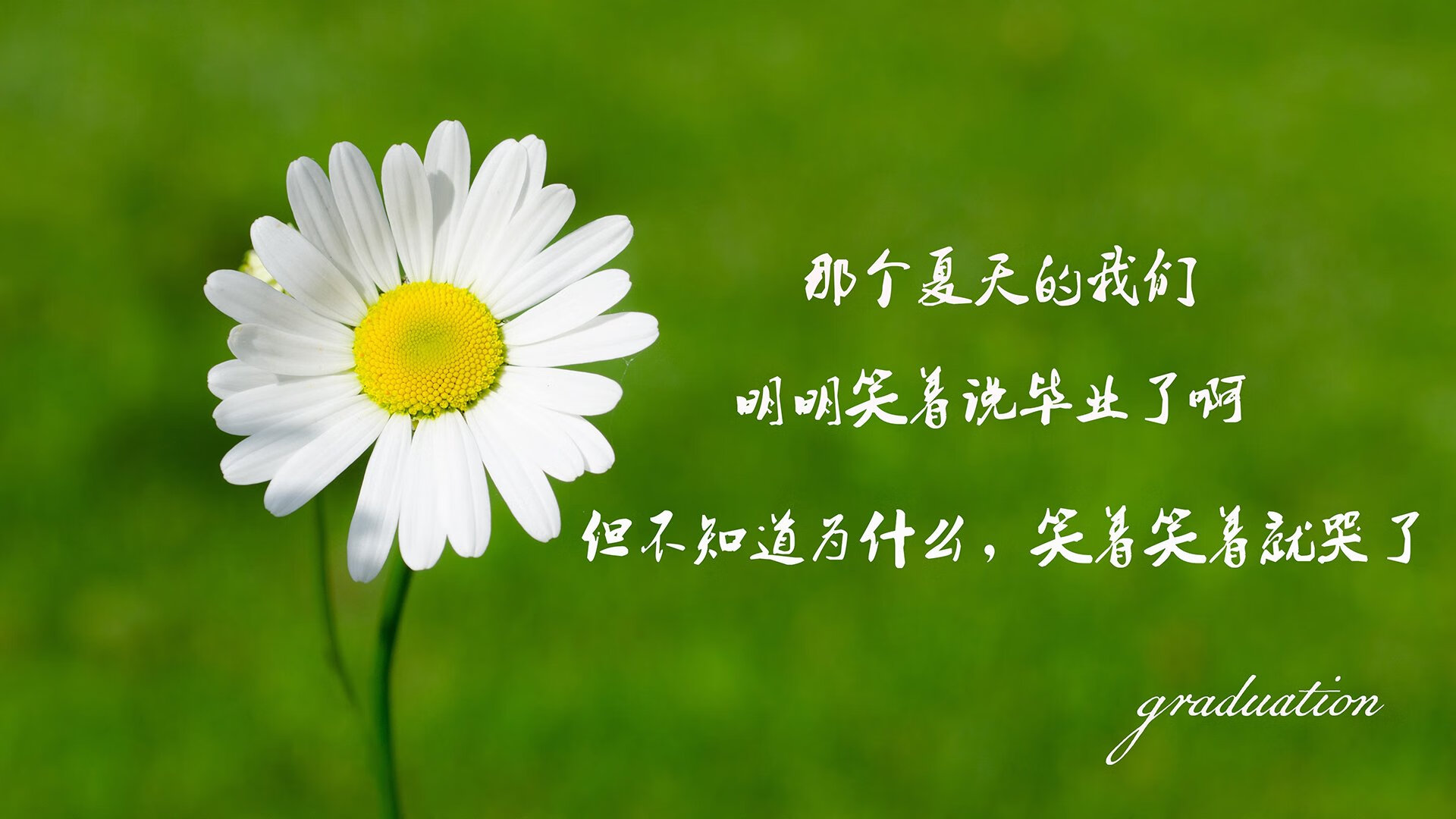 波兰队国际乒联混合团体世界杯赛场的稳定发挥与战术选择，波兰乒乓球公开赛