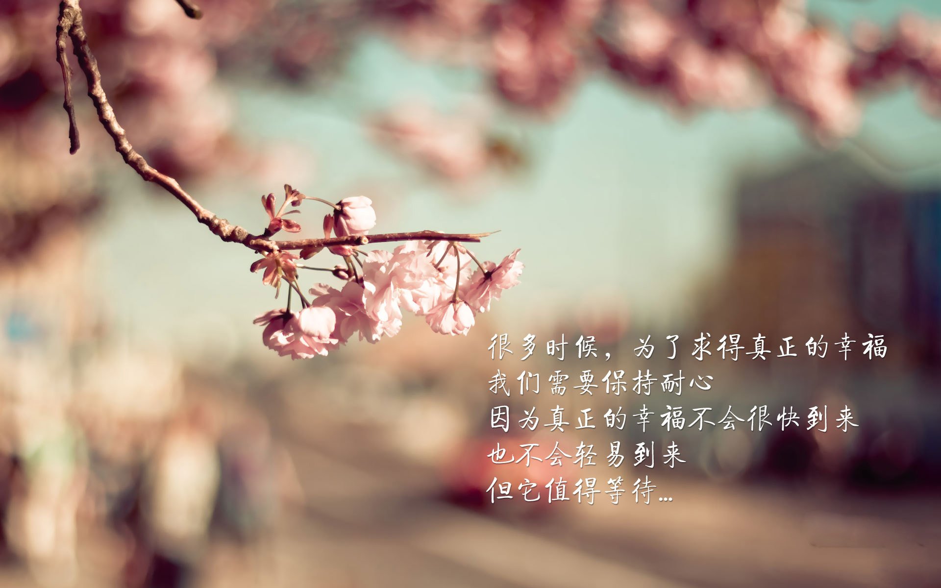 南非水球队点球大战中惊险取胜，南非水球队点球大战中惊险取胜的是谁